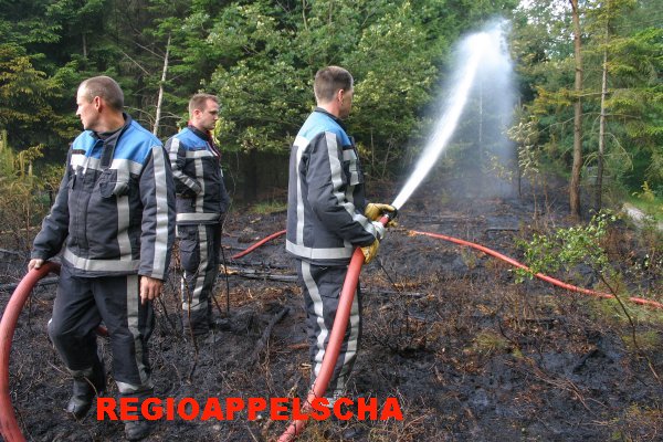 Regio Appelscha